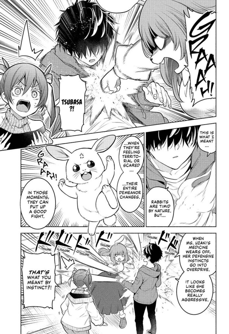 Animal Signal 5 9