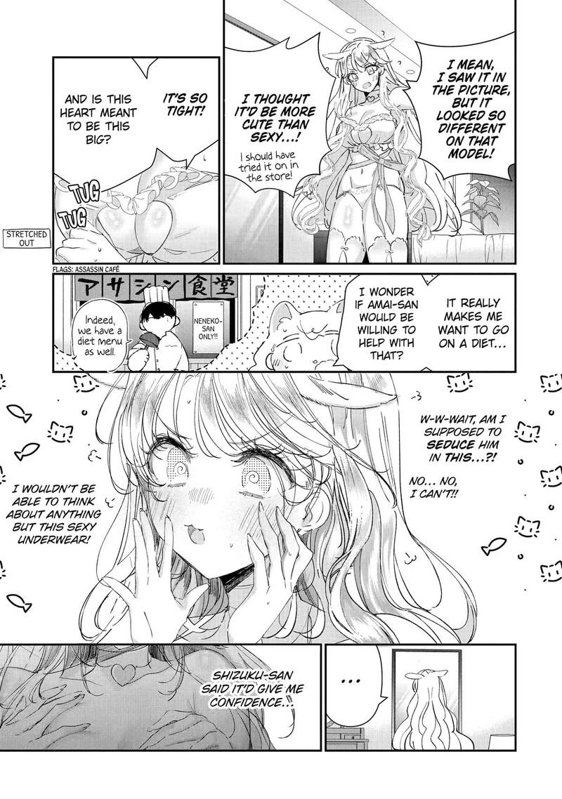 Assassin Cinderella 14 17