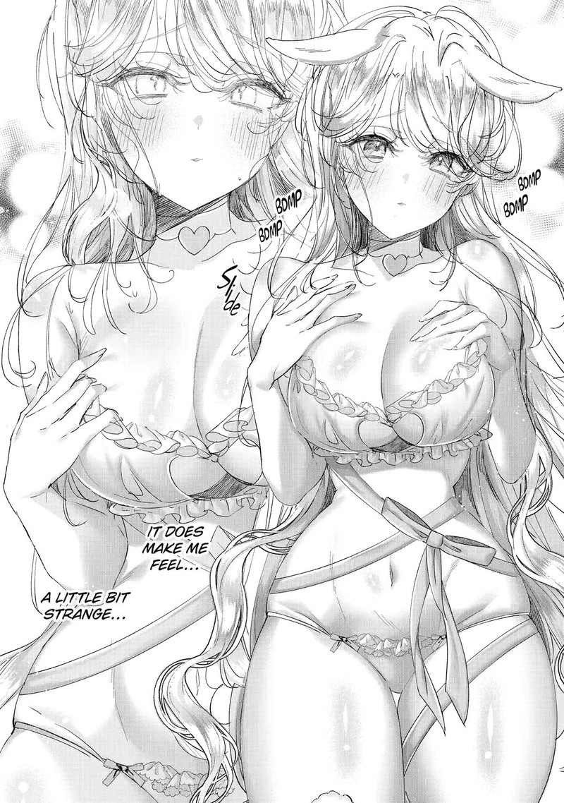 Assassin Cinderella 14 18