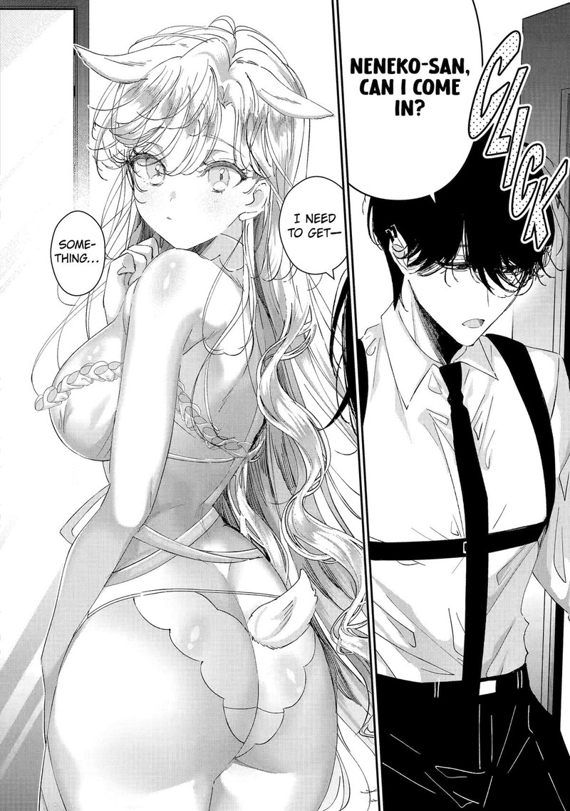 Assassin Cinderella 14 20