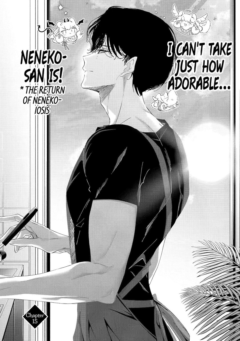 Assassin Cinderella 15 2