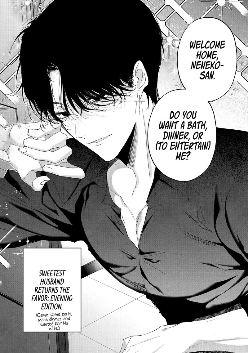 Assassin Cinderella 15 35