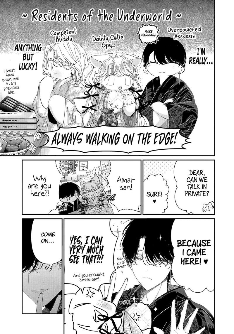 Assassin Cinderella 16 11