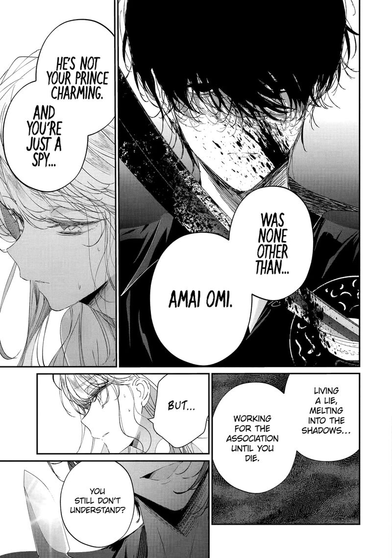 Assassin Cinderella 19d 3