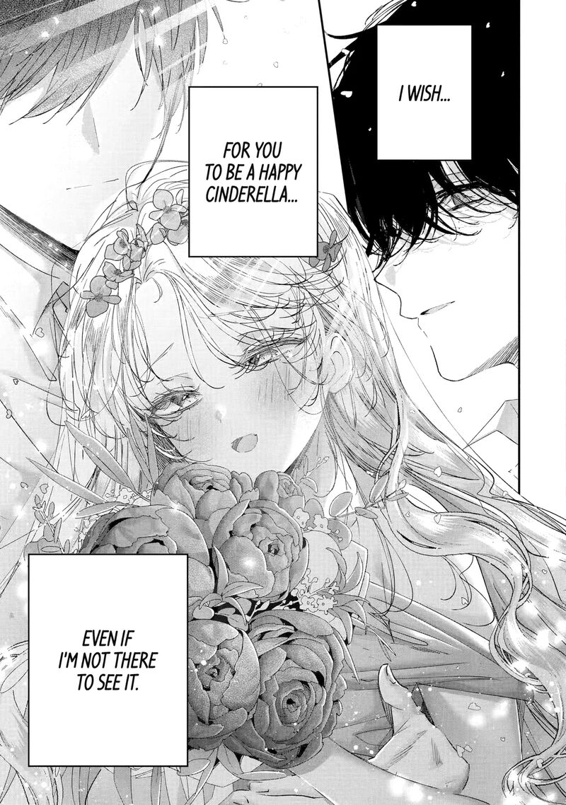 Assassin Cinderella 19e 9