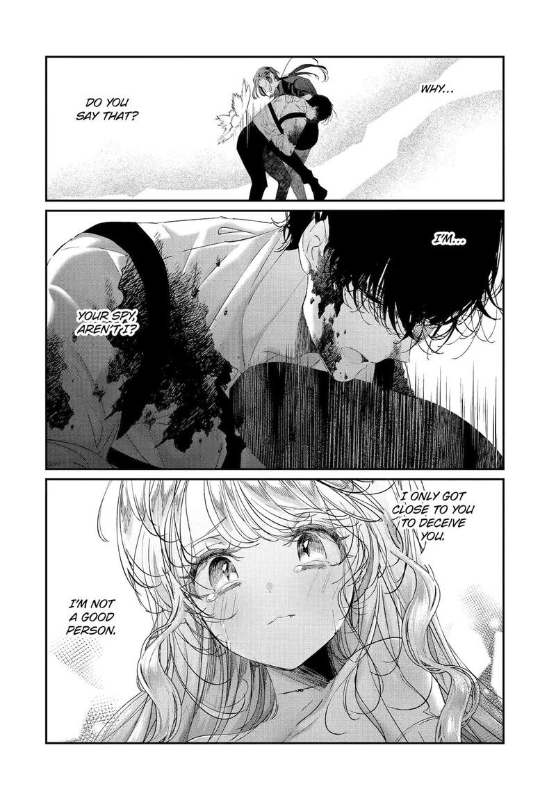 Assassin Cinderella 20 2