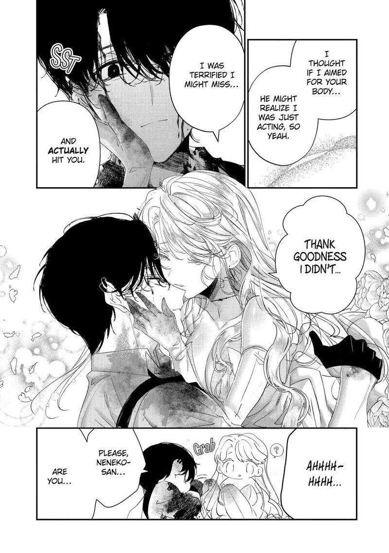 Assassin Cinderella 20 22