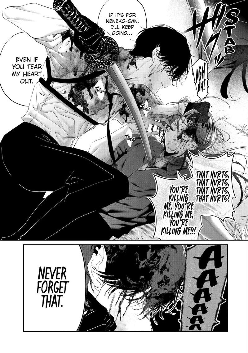 Assassin Cinderella 20 32