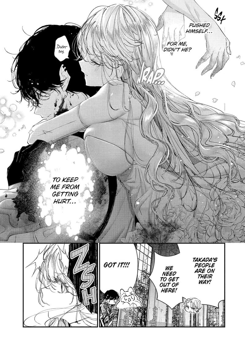 Assassin Cinderella 20 38