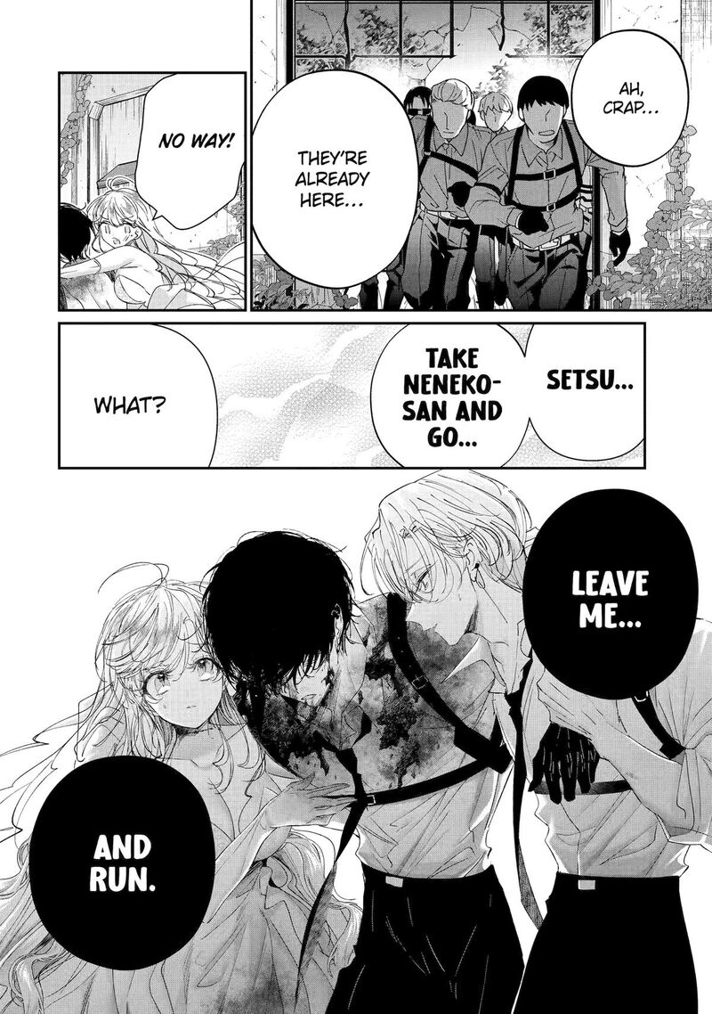 Assassin Cinderella 20 39