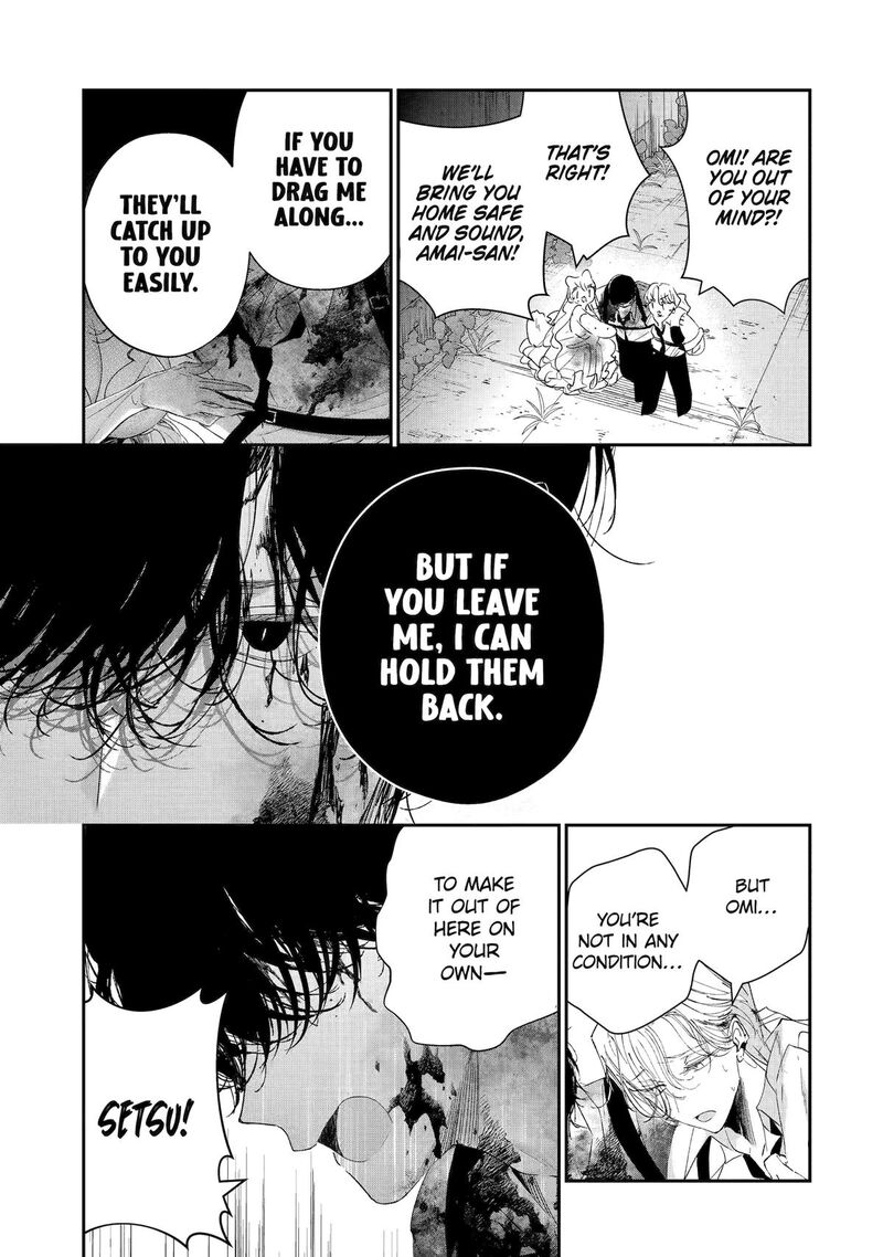 Assassin Cinderella 20 40