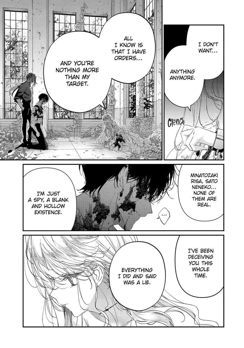 Assassin Cinderella 20 7