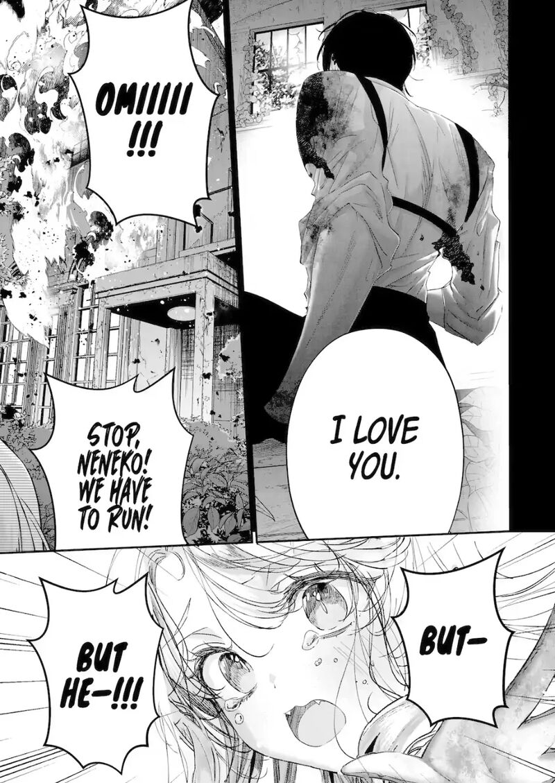 Assassin Cinderella 21a 1