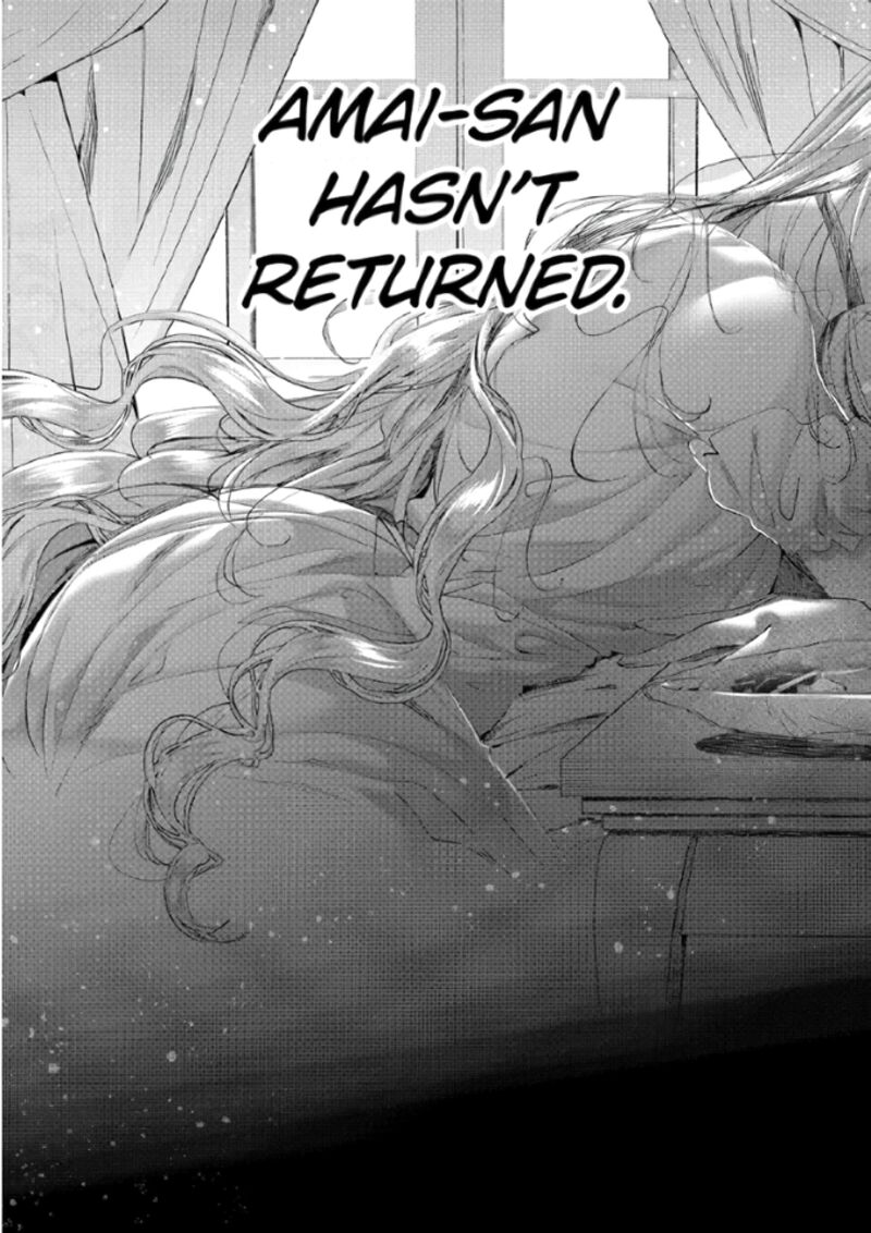 Assassin Cinderella 21b 13