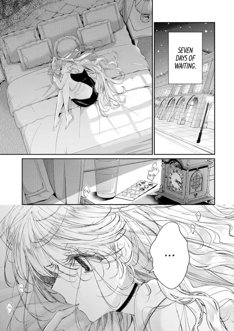 Assassin Cinderella 21c 1