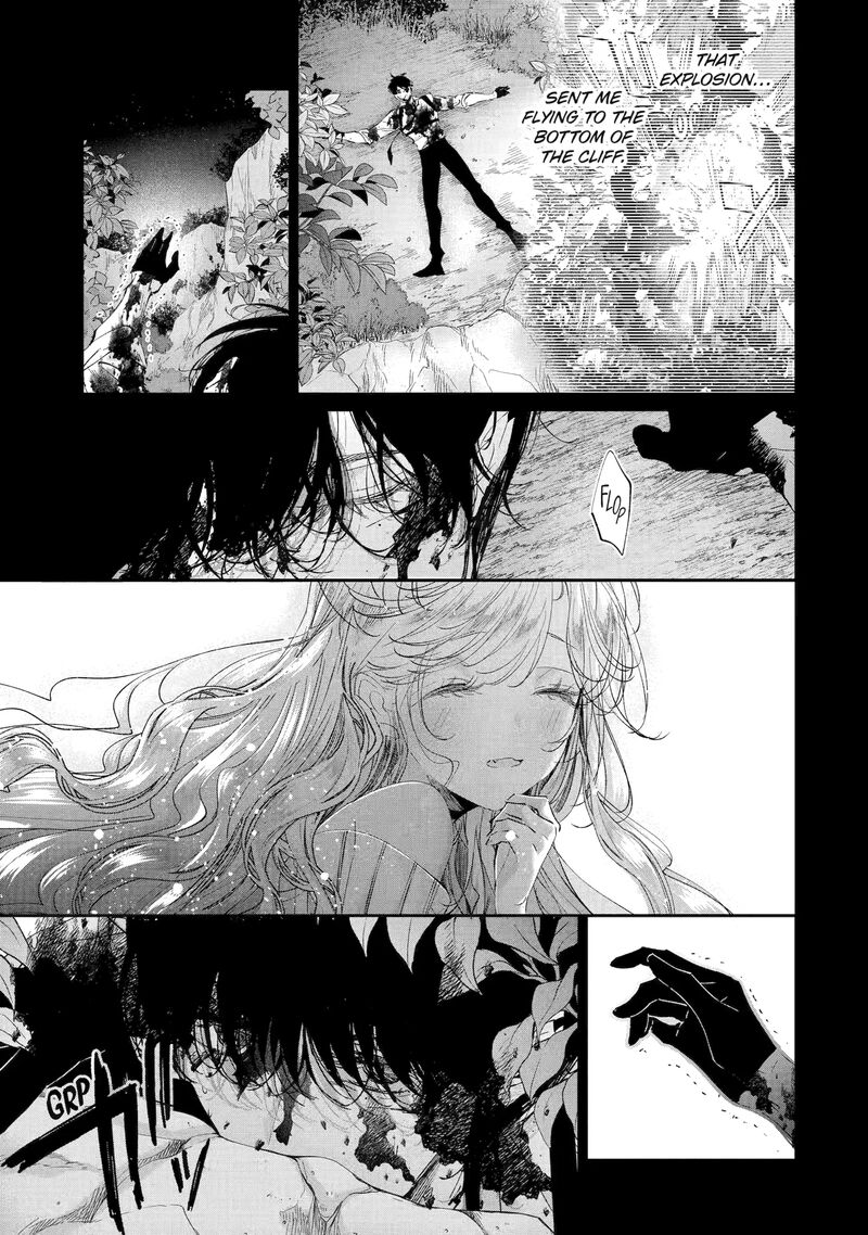 Assassin Cinderella 21d 2