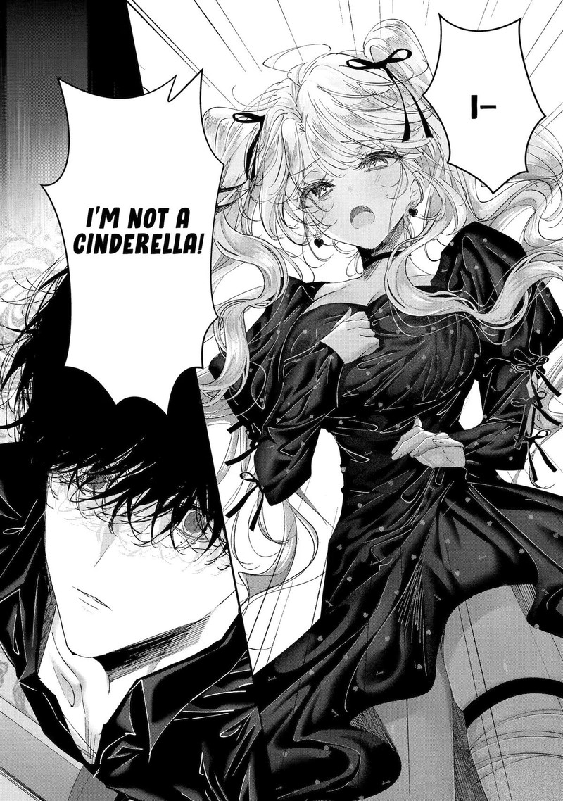 Assassin Cinderella 22 28