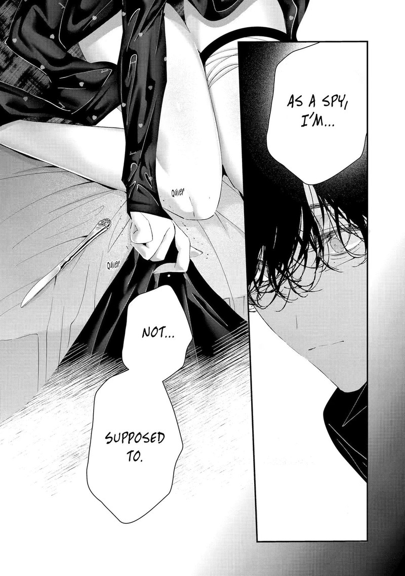 Assassin Cinderella 22 44