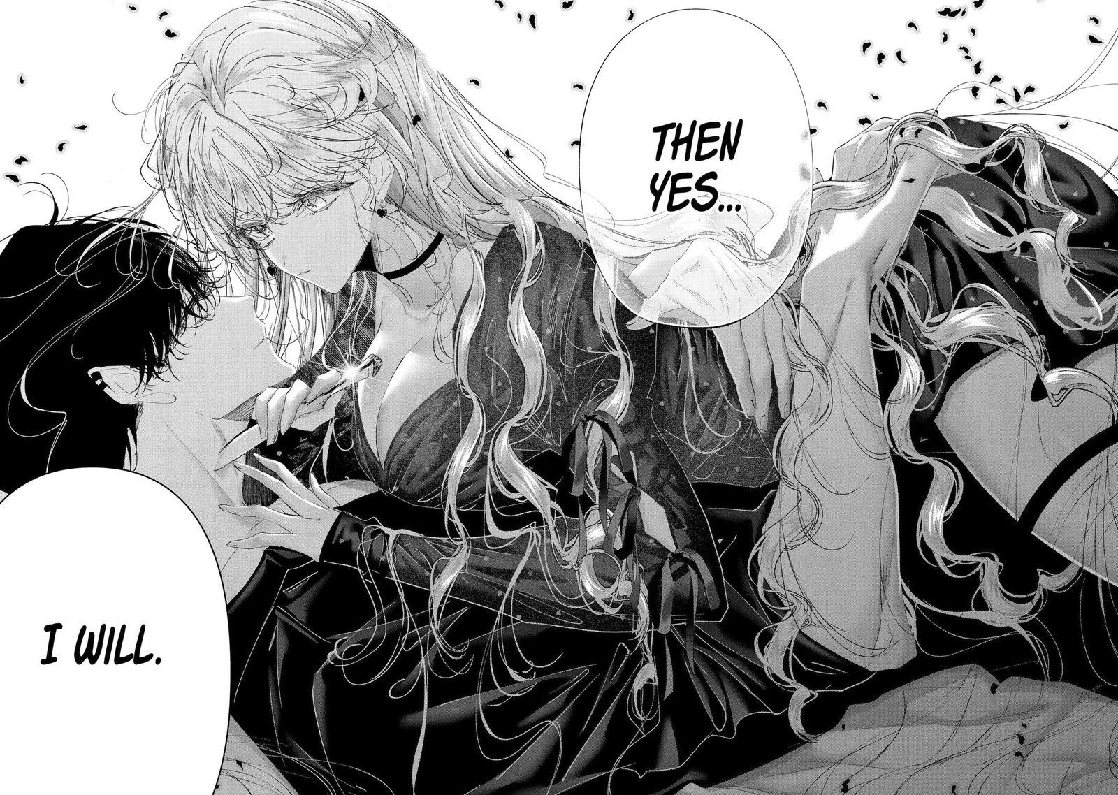 Assassin Cinderella 23 18