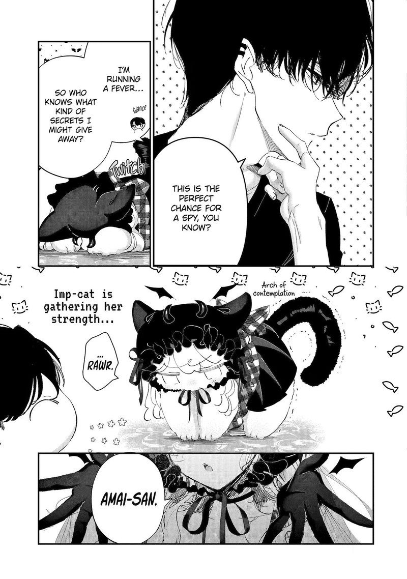 Assassin Cinderella 25 19