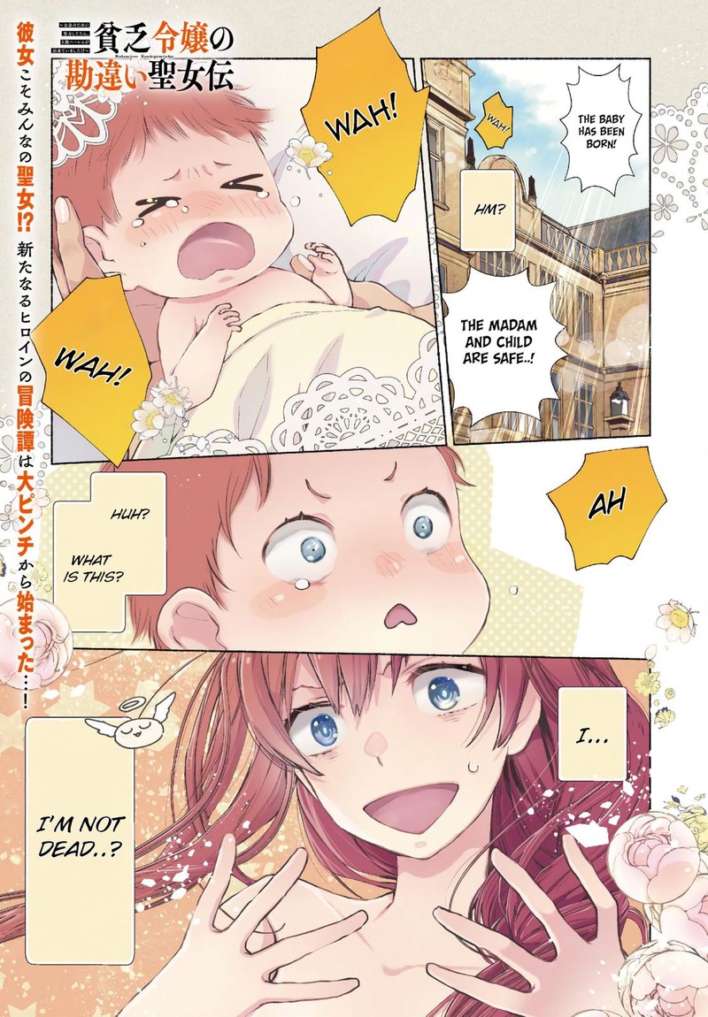 Binbou Reijou No Kanchigai Seijo Den Okane No Tame Ni Doryoku Shitetara Oozoku Harem Ga Dekite Imashita 1 1