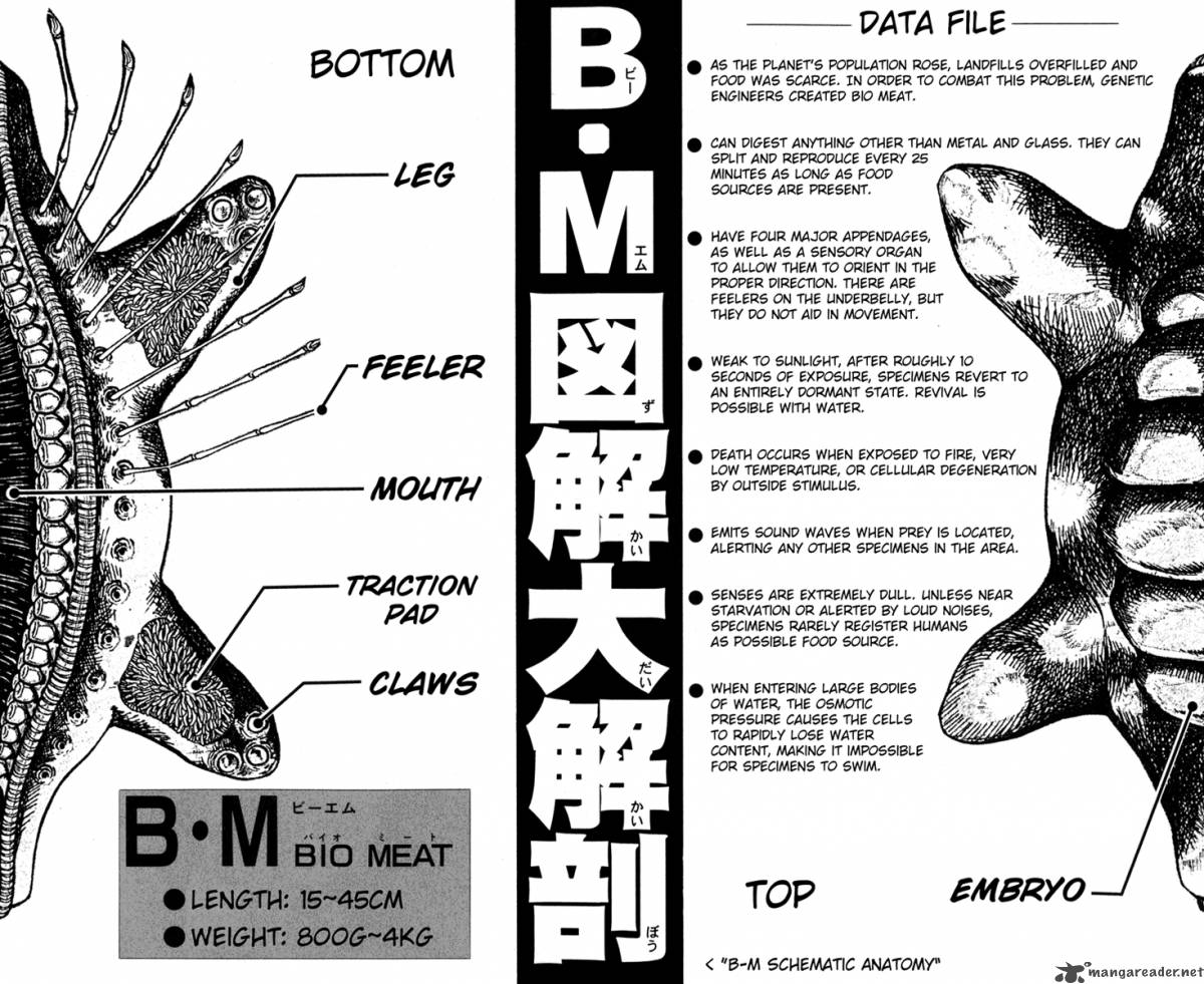 Bio Meat 7 182