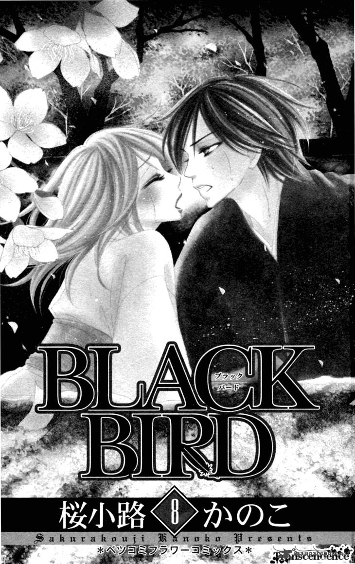 Black Bird 29 4