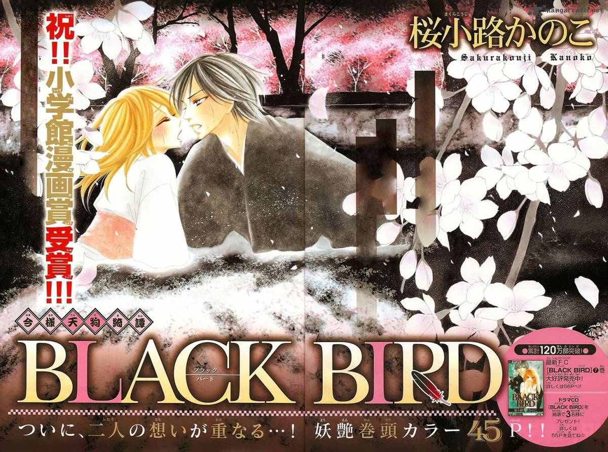 Black Bird 32 3