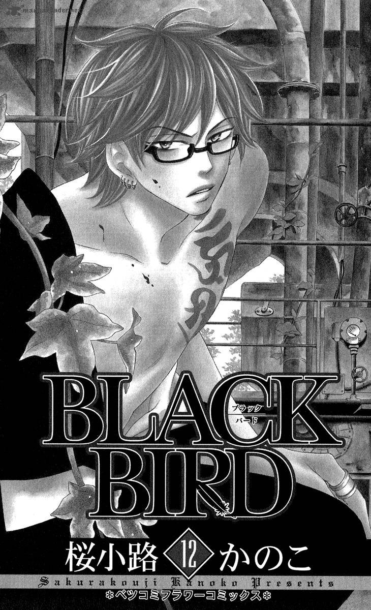 Black Bird 44 4