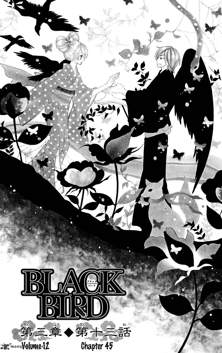 Black Bird 45 2