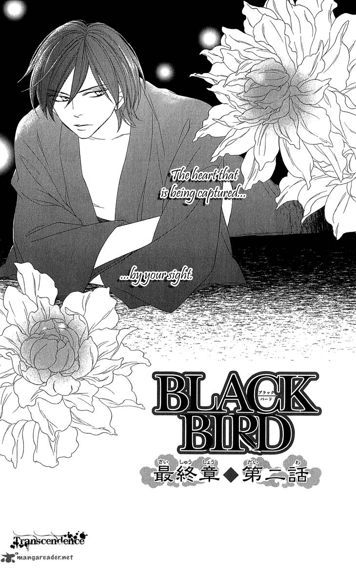 Black Bird 55 7