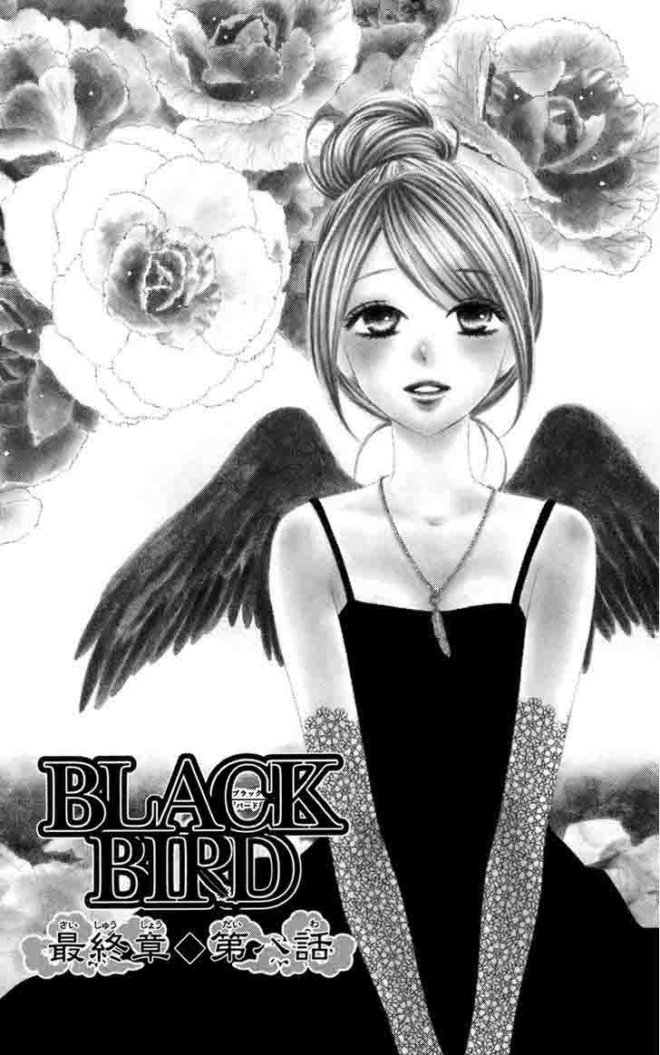 Black Bird 61 1