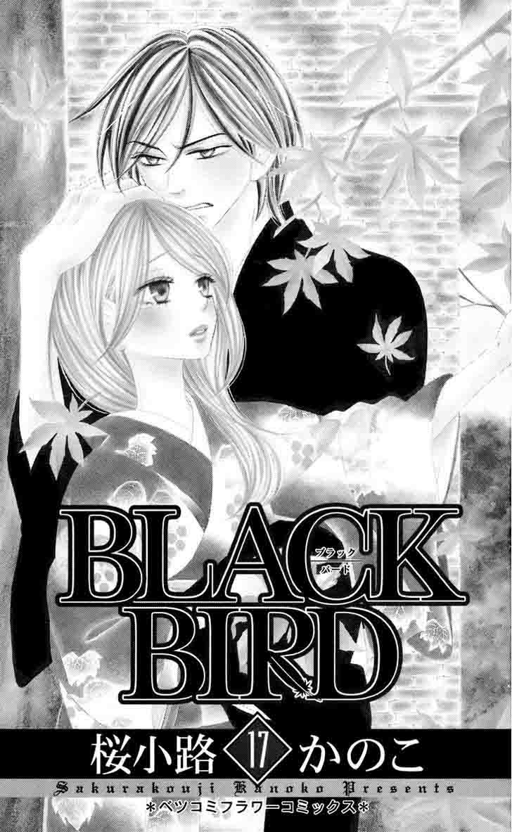 Black Bird 65 4