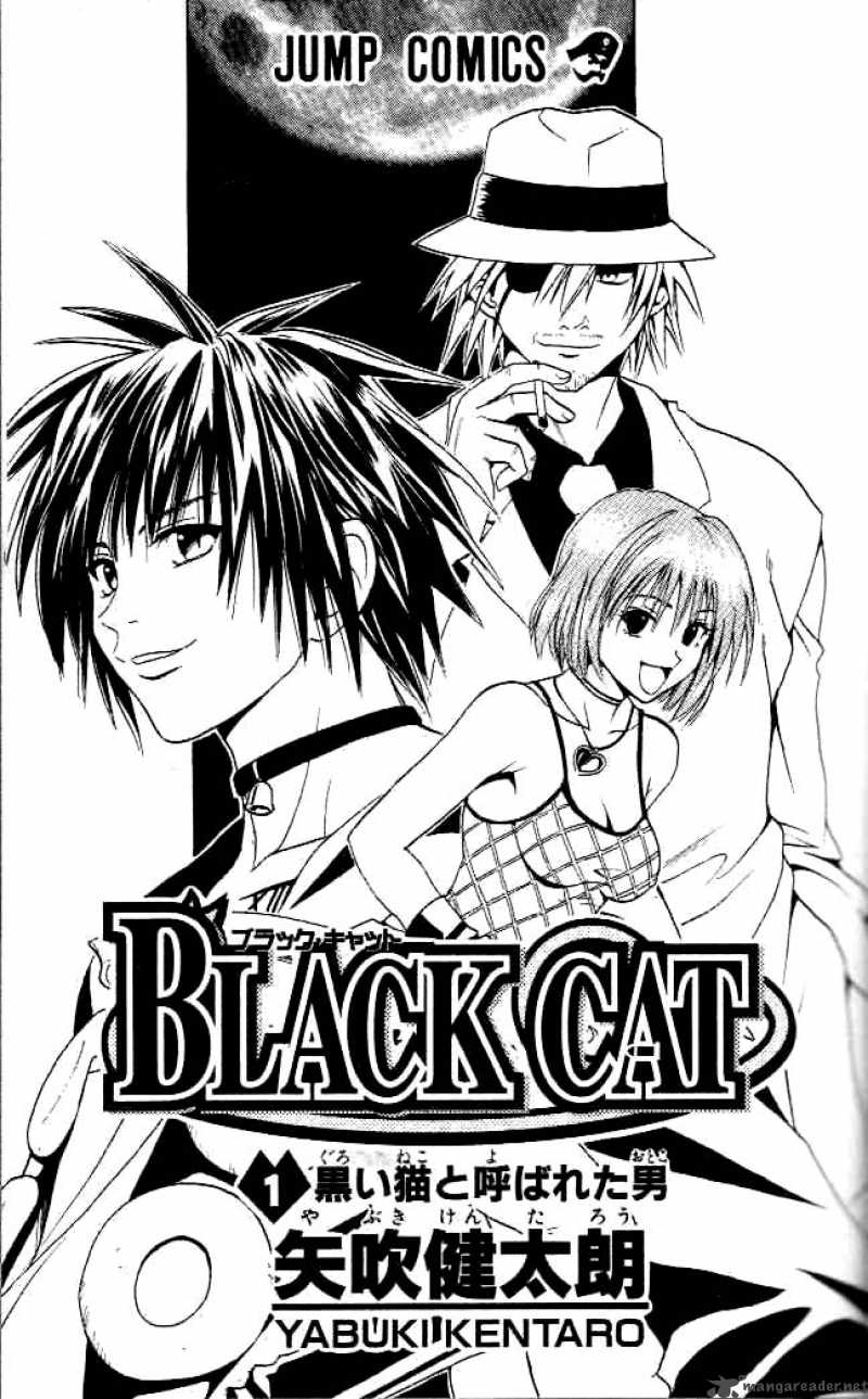 Black Cat 1 1
