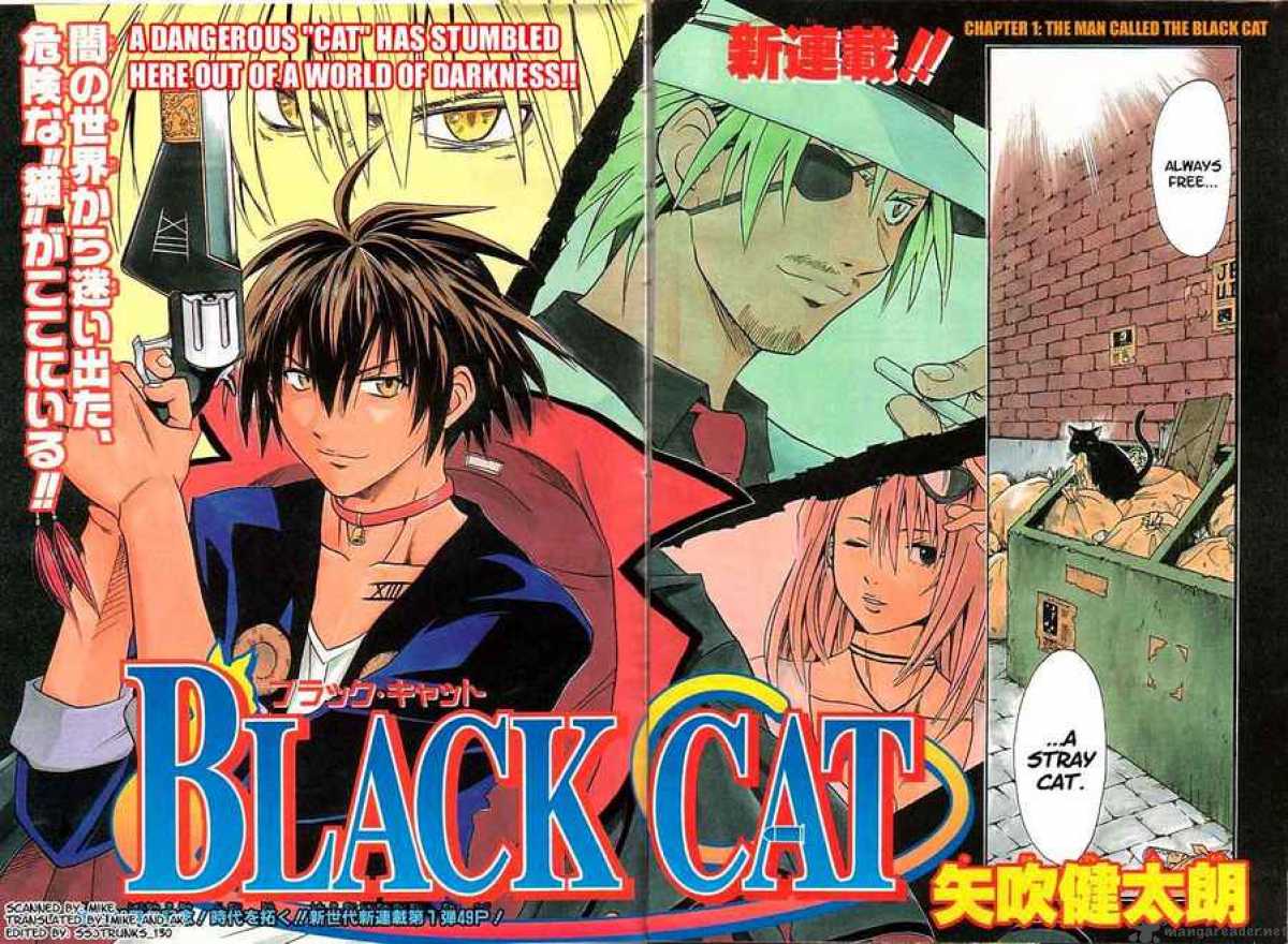 Black Cat 1 3