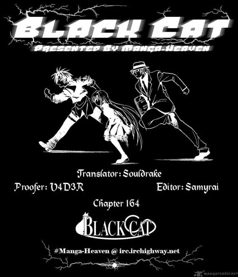 Black Cat 164 20