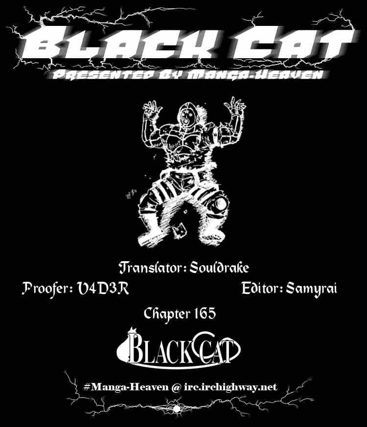 Black Cat 165 18