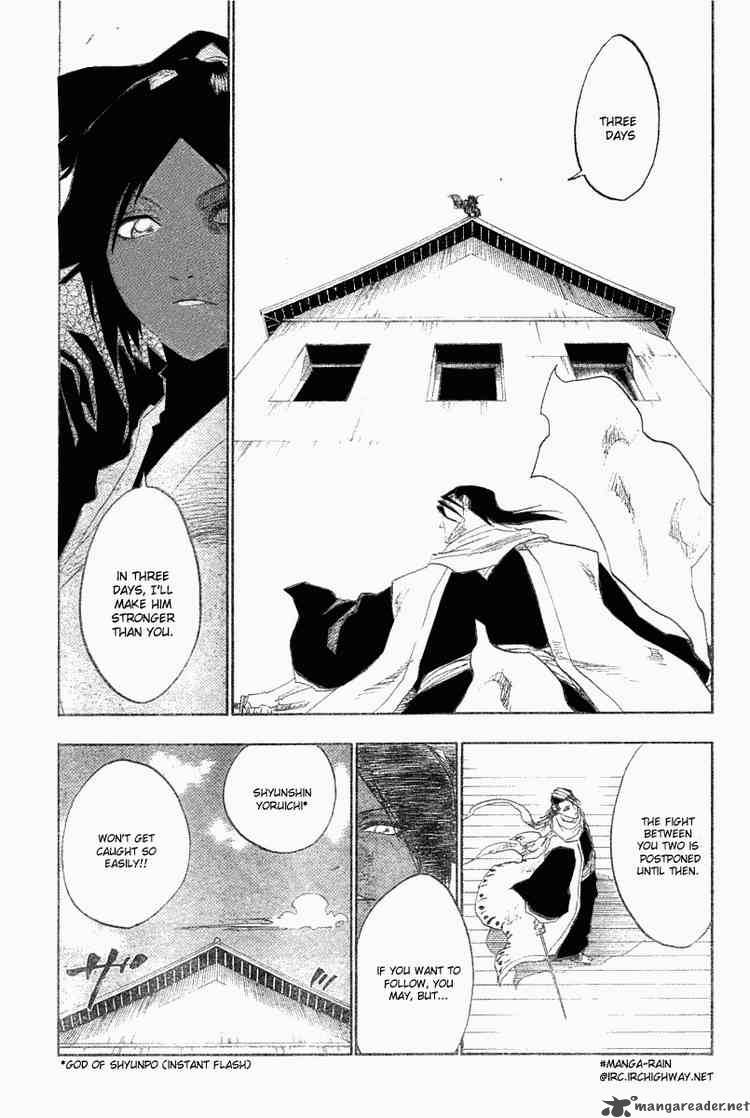 Bleach 118 19