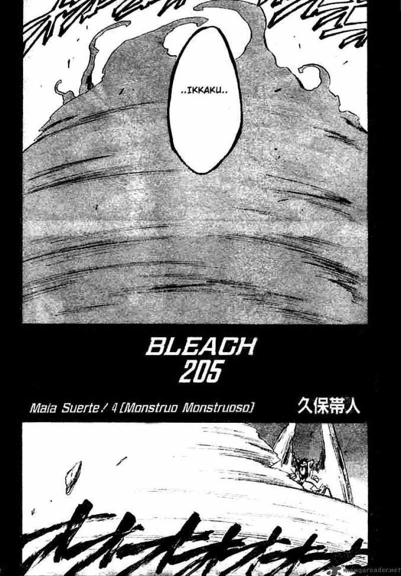 Bleach 205 3
