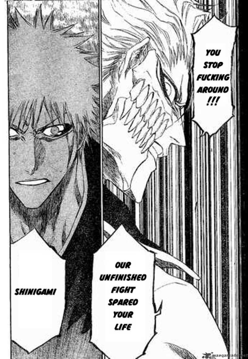 Bleach 212 13