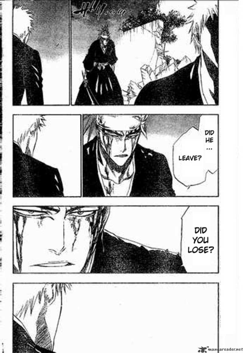 Bleach 212 17