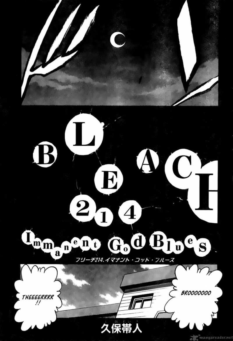 Bleach 214 7