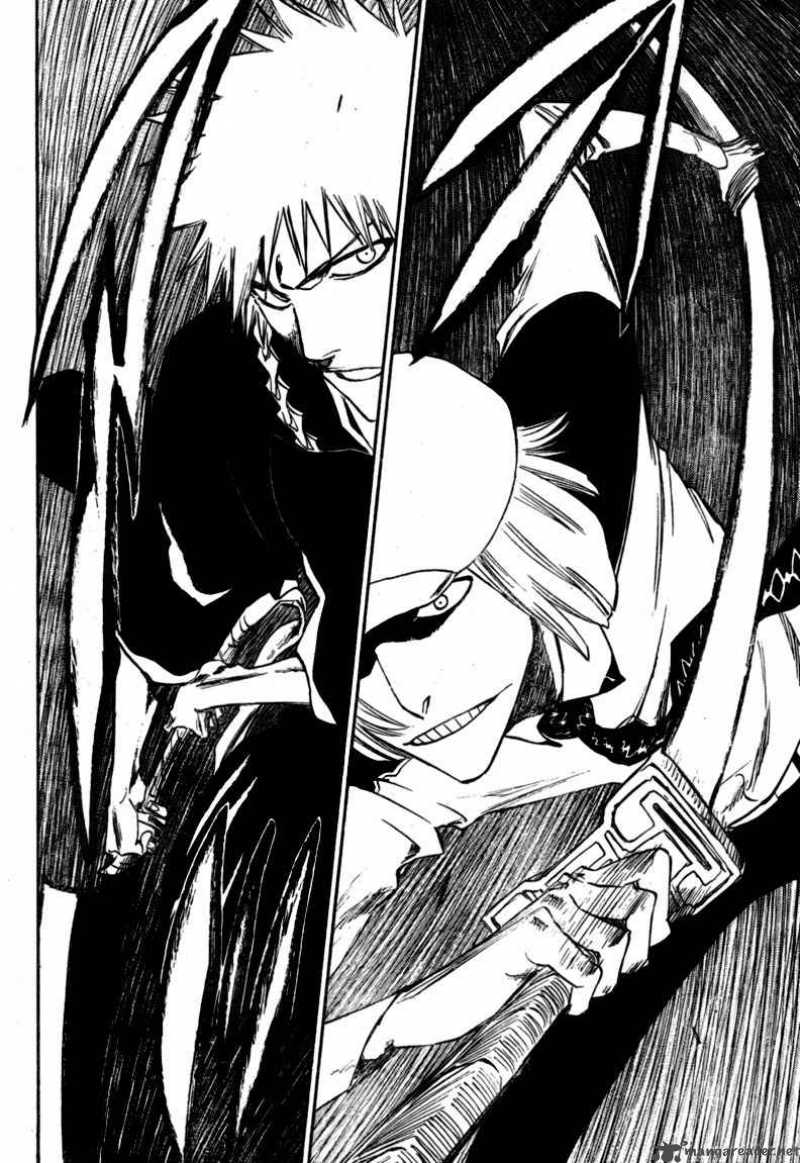 Bleach 215 9