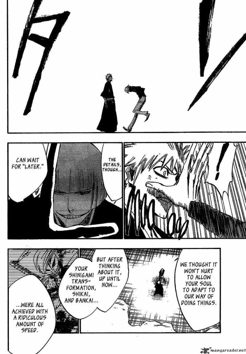 Bleach 217 15