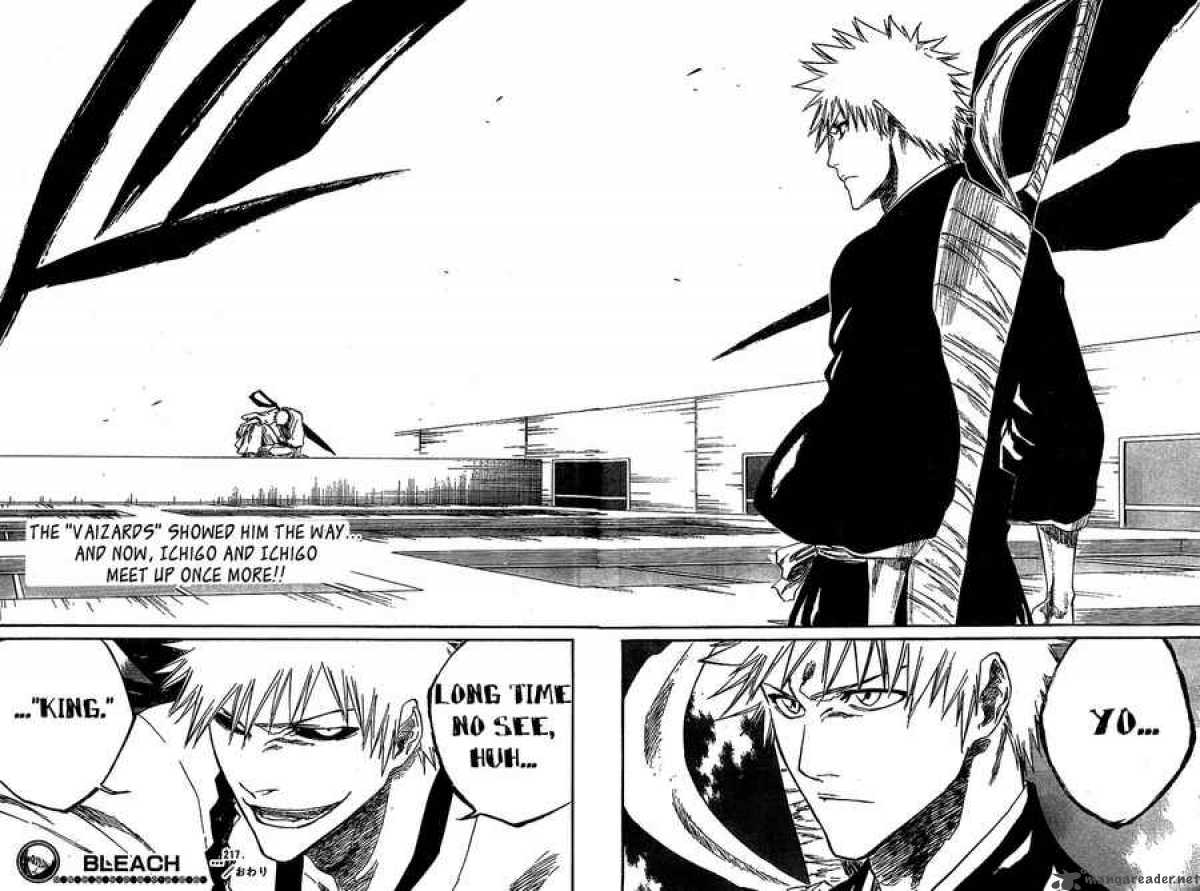 Bleach 217 19