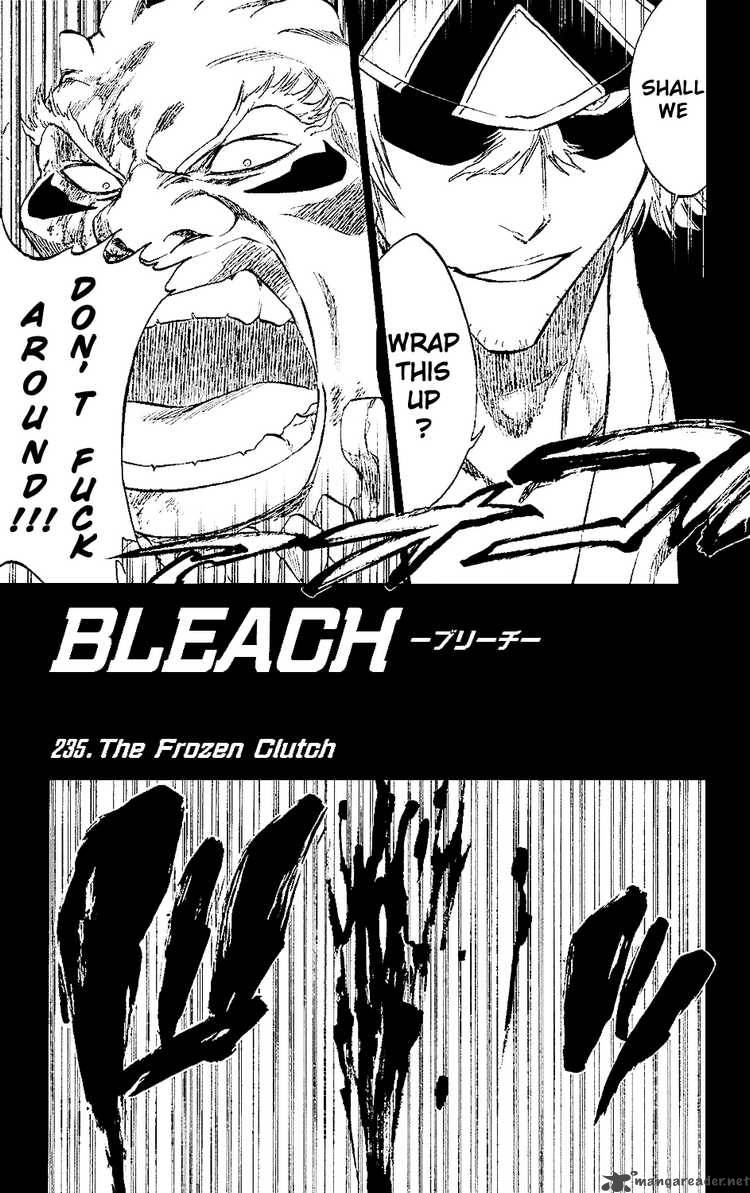 Bleach 235 9