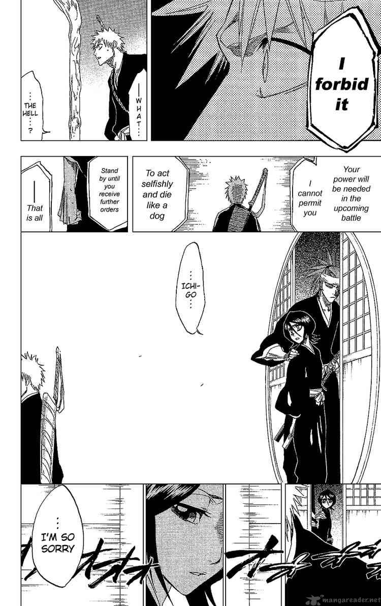 Bleach 238 17