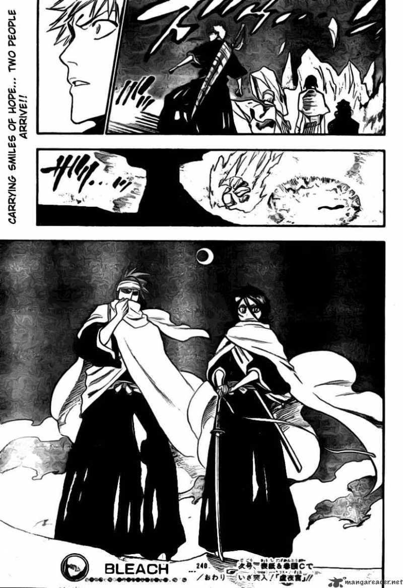 Bleach 246 20