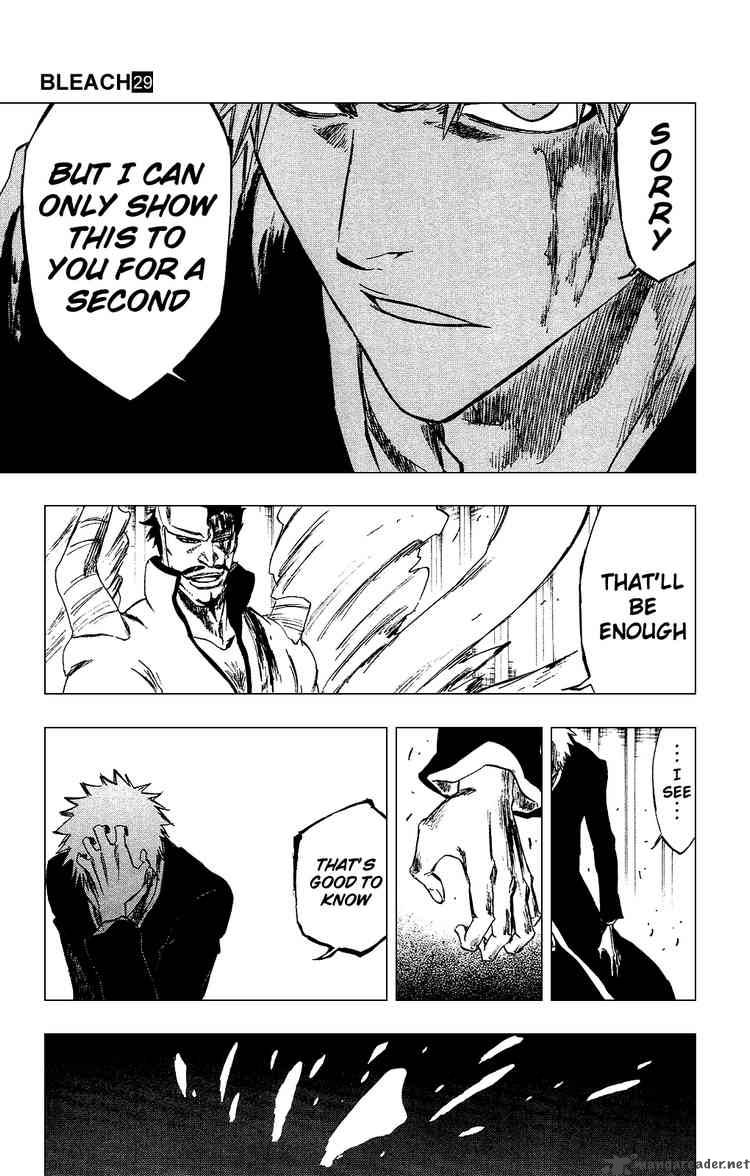 Bleach 253 13