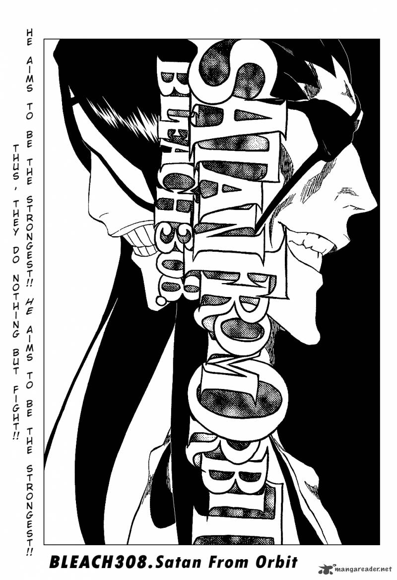 Bleach 308 9